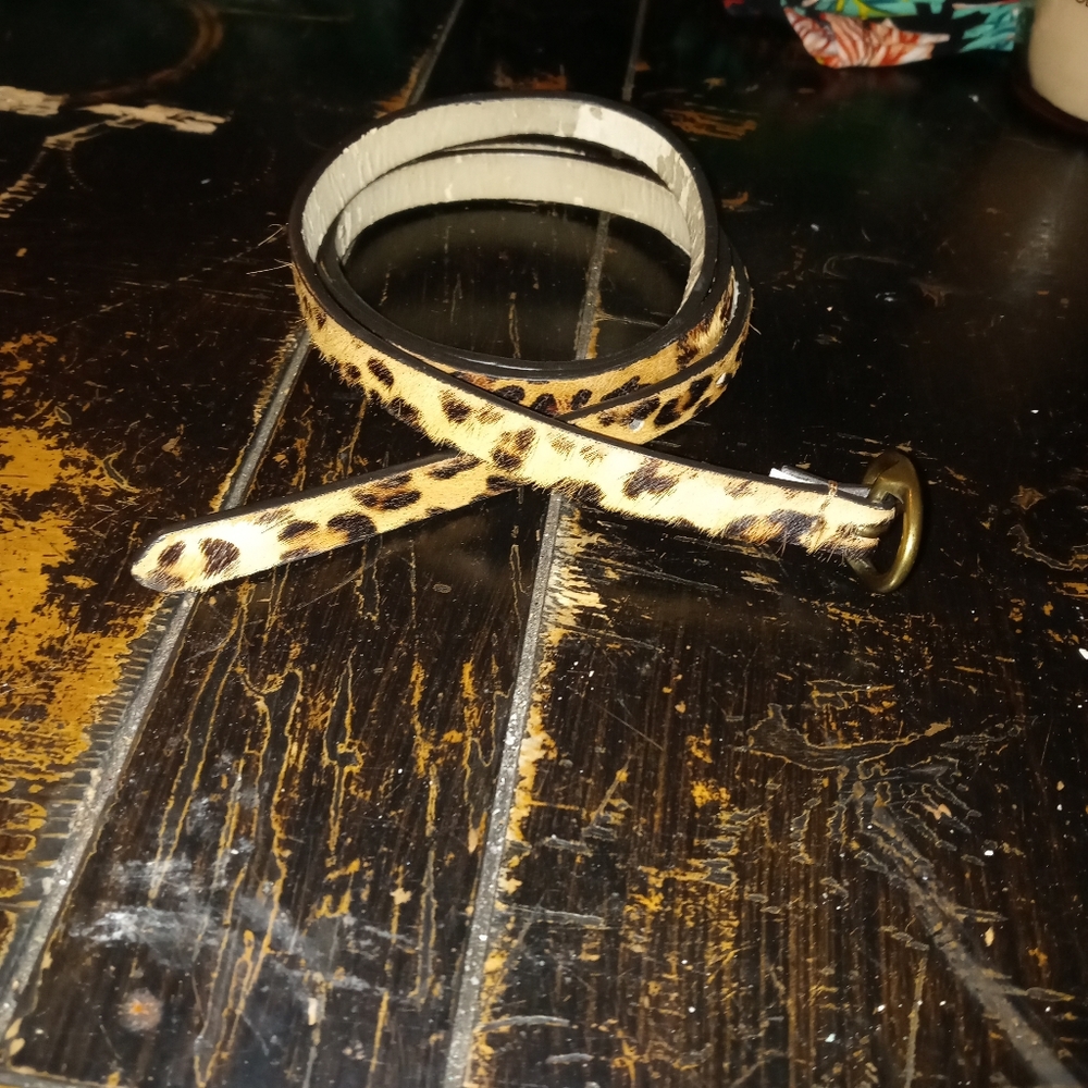Belt
